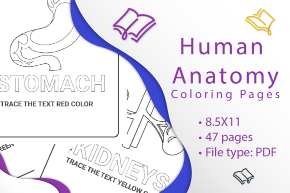 Human Anatomy Coloring Pages: A Creative Tool for Learning and Engagement