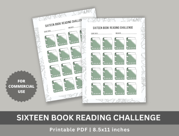 The Sixteen Book Reading Challenge: A Creative Tool for KDP Authors and Beyond